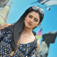 Vimala Raman Hot Pictures | Picture 51183